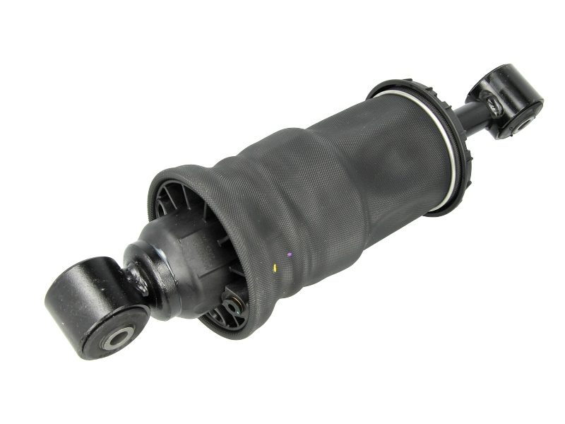 SACHS 313 077