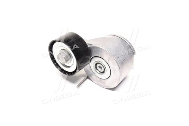 Ролик натяжний поліклинового ременя для Citroen Berlingo, C3, C5, Peugeot 206, 407, Ford Fiesta V SKF VKM 33061