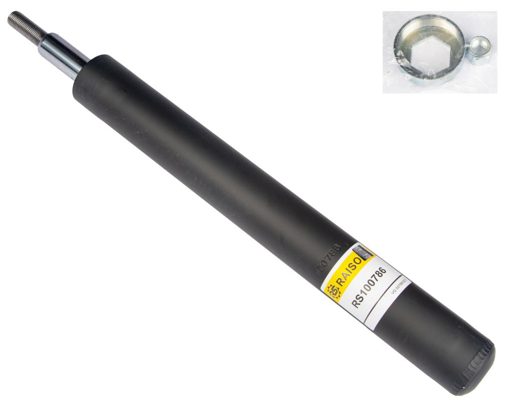 RAISO RS100786