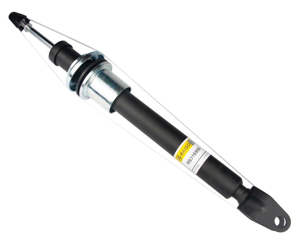 RAISO RS316950